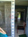 der rote kreis zeigt die ameisen mit grabwespe. millimeterarbeit! || foto details: 2006-01-15, taveuni, fiji, Sony DSC-F717.