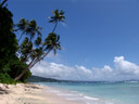 tropical beach. 2006-01-18, Sony DSC-F717.