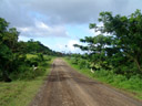 am weg zurück nach matei || foto details: 2006-01-18, tavoro, taveuni, fiji, Sony DSC-F717.