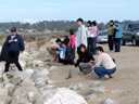 ...and of course: tourists close by, feeding the animals. 2006-01-27, Sony DSC-F717.