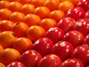 apples and oranges. 2006-02-10, Sony DSC-F717. keywords: orange, red