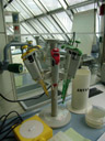 mikroliter pipetten, für die arbeit mit 1 - 1000 ?l || foto details: 2006-04-07, innsbruck / austria, Sony Cybershot DSC-F828.