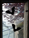 bat-shaped 