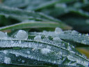 frozen dew. 2006-12-11, Sony Cybershot DSC-F828. keywords: winter, snow, ice crystal