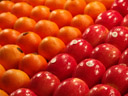orange, red