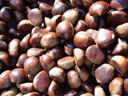 dark brown. 2005-10-13, Sony Cybershot DSC-F717. keywords: fruit, nuts, castanea sativa, darkbrown, maroni