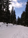 perfect toboggan run