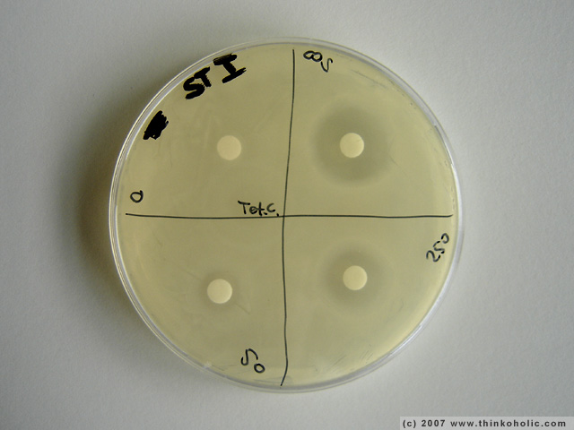 Tetracycline (Antibiotics) Uses, Dosage, Side Effects ...