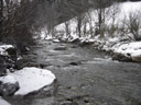 the perfect weather for standing in a stream. 2007-02-13, Sony DSC-P93.