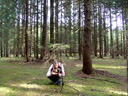 tom, playing hide&seek in the forest :-). 2007-03-17, Sony DSC-F828.