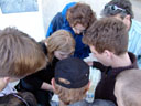 finding out where we were on the city map