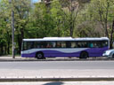 vermutlich nicht von milka gesponsort, aber die assoziation bleibt. || foto details: 2007-04-14, timisoara, romania, Sony F828.