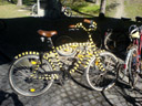 tiger bike