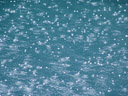 . 2007-06-08, Sony F828. keywords: rain, lake, water, bubbles, ripples