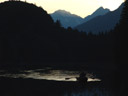 sonnenungertang am piburger see || foto details: 2007-06-08, piburger see, austria, Sony F828. keywords: boat