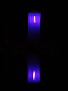 violet light-trap