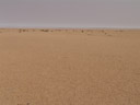 typical view of the central namib desert. 2007-09-03, Sony F828.