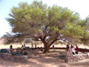 der campingplatz in sesriem um genau 15:31 uhr || foto details: 2007-09-04, sesriem, namibia, Sony F828.