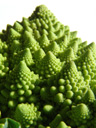 romanesco (brassica oleracea) has fractal flower buds. 2007-10-21, Sony F828. keywords: broccolo romanesco, brassica oleracea var. botrytis, karfiol, käsekohl, blütenkohl, traubenkohl, italienischer kohl, brassicaceae