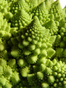 romanesco (brassica oleracea) || foto details: 2007-10-21, rum, austria, Sony F828. keywords: broccolo romanesco, brassica oleracea var. botrytis, karfiol, käsekohl, blütenkohl, traubenkohl, italienischer kohl, brassicaceae, fractals, fibonacci spiral, fraktal