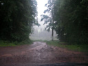 sudden downpour - a reminder of a very wet hike on taveuni, fiji. 2008-06-11, Pentax W20.