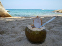 coconut drink at the beach