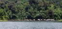 panorama: tonetuey floating bamboo huts. 2008-08-31, Sony F828. keywords: bamboo rafthouse, raft houses