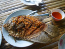 zum mittagessen (u.a.): gebratener fisch || foto details: 2008-08-31, khao sok national park, thailand, Pentax W60.