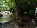 hiking through khao sok rainforest