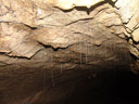 klebrige fangfäden, wie sie arachnocampa luminosa larven in neuseeland produzieren || foto details: 2008-08-31, khao sok national park, thailand, Sony F828. keywords: namtaloo cave