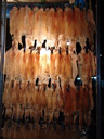 dried and rolled cuttlefish, night market. 2008-09-03, Sony F828. keywords: squid, sepia, calamari