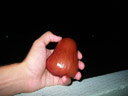 at last, i rediscovered the fruit that i first ate on taveuni, fiji in 2006: a rose-apple (syzygium samarangense. 2008-09-05, Pentax W60. keywords: wax apple, love apple, java apple, Chomphu, Bellfruit, jambu air, water apple, mountain apple, jambu air, water guava, wax jambu, Rose apple, bell fruit, makopa, tambis, chambekka, jumbu, jamalac, zamalac