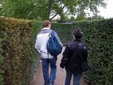 in the maze