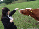 animation: cindy causes massive bovine tongue action ;)