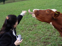 cindy causes massive bovine tongue action ;)