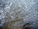 air bubbles, frozen into a layer of ice