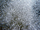 air bubbles, frozen into a layer of ice