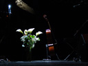 stage scene: calla lillies and a cello