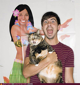 spook the cat and trick the soul