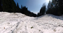 panorama: avalanche field