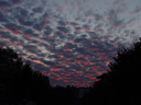 cirrocumulus sunset