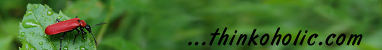 thinkoholic.com - a blog by markus nolf