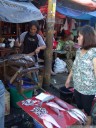 the market: fish section