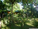 bunaken kuskus resort - the garden really is as lush as described in the travel guides.