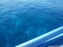 perfekt klares wasser - sicht vom boot bis zu den korallen || foto details: 2011-08-24 11:00:51, pulau bunaken, sulawesi, indonesia, PENTAX Optio W60.