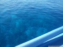 waters so clear that the coral was visible from the boat. 2011-08-24 11:00:51, PENTAX Optio W60.