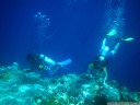 scuba divers. 2011-08-24 11:46:58, PENTAX Optio W60.