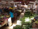 tomohon market: vegetables (especially water spinach!). 2011-08-25 02:35:57, DSC-F828.