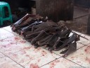 fresh fruit bat wings... (tomohon market). 2011-08-25 02:25:48, DSC-F828.