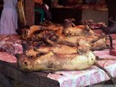 this was probably the most disgusting and unsettling thing we saw in indonesia: dogs for sale at tomohon market. 2011-08-25 02:37:24, DSC-F828.